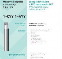 1-CYY 1-AYY
